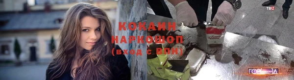mdpv Краснотурьинск
