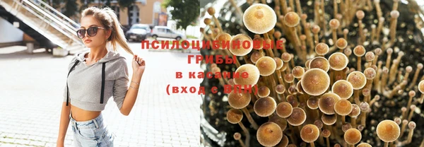 герыч Козловка