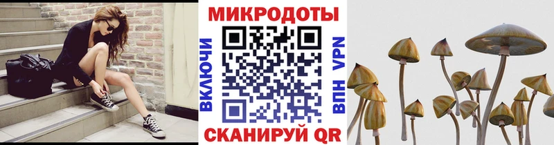 Псилоцибиновые грибы мухоморы  Белокуриха 